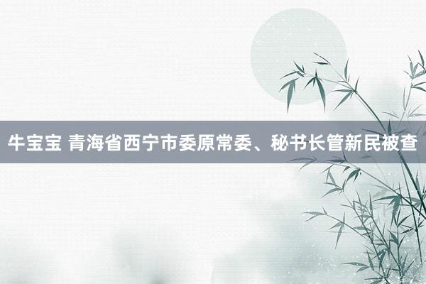 牛宝宝 青海省西宁市委原常委、秘书长管新民被查
