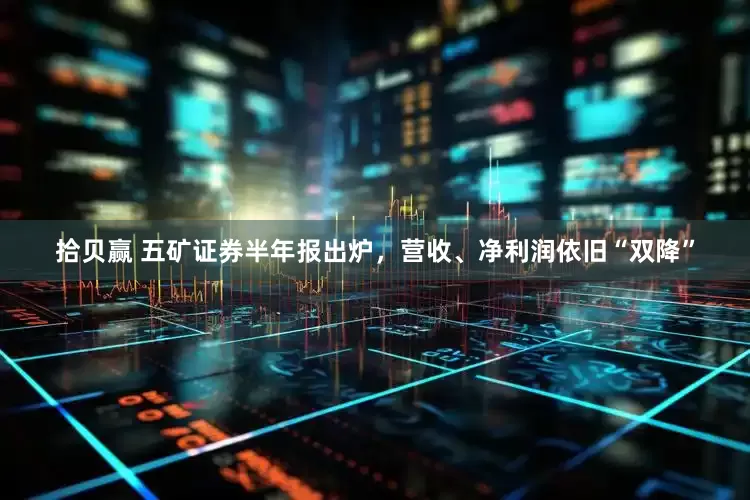 拾贝赢 五矿证券半年报出炉，营收、净利润依旧“双降”